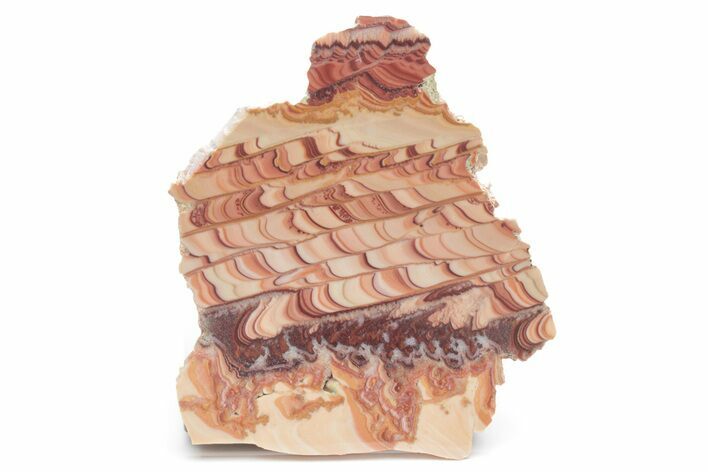 Polished Slab Of Rolling Hills Dolomite - Mexico #218777